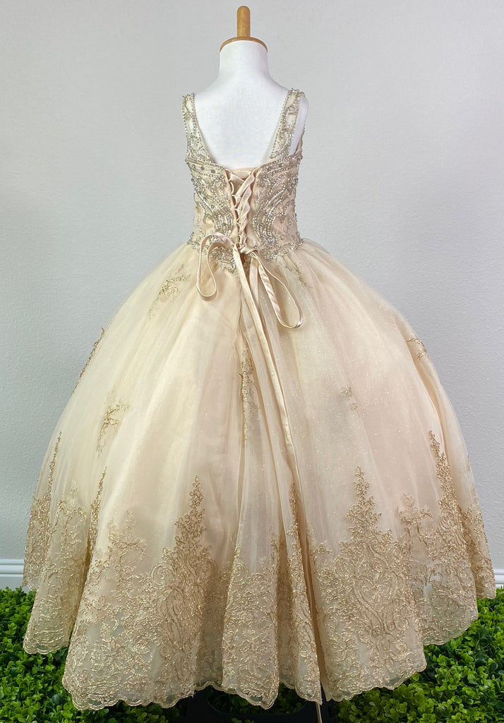 Gold, size 4 Golden bodice Bedazzled rhinestone tulle over bodice and thin straps Sparkled tulle over golden satin skirting Gold embroidered trim along edge of skirting Corset back Dress pictured with a petticoat Petticoat not included  Choose from a tulle, cloth, or wire for best look